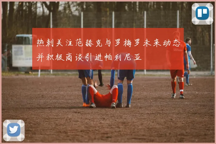 热刺关注范赫克与罗梅罗未来动态并积极商谈引进帕利尼亚