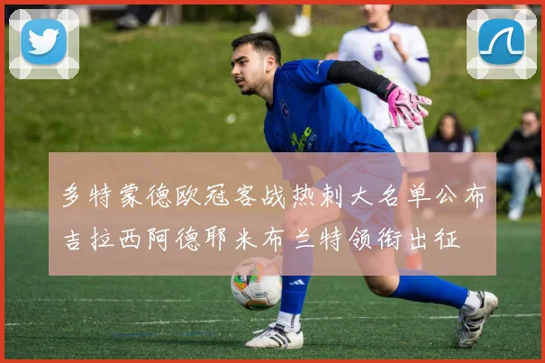 多特蒙德欧冠客战热刺大名单公布吉拉西阿德耶米布兰特领衔出征