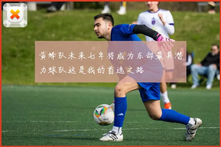黄蜂队未来七年将成为东部最具潜力球队这是我的首选之路
