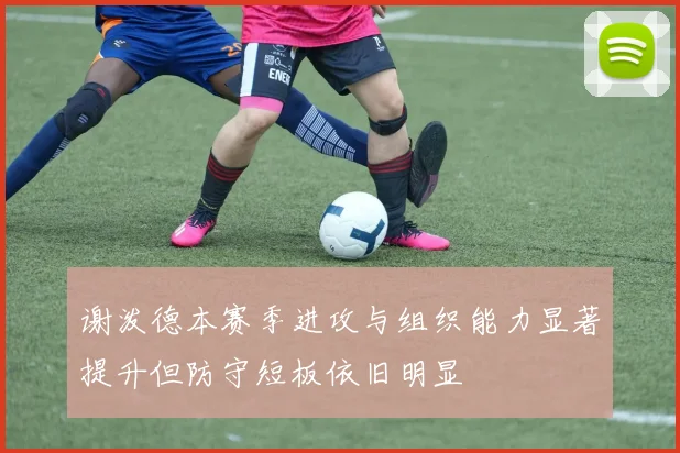 谢泼德本赛季进攻与组织能力显著提升但防守短板依旧明显